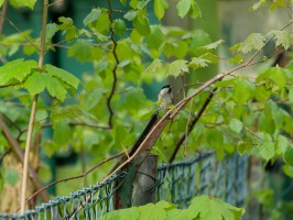 <span style='font-size:1.10em'></span>