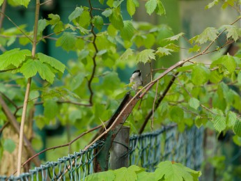 </span><span> | <a href=_4280259_dxo/><span style='font-size: 1.00em;font-weight: normal'><strong> -> INFOS</strong></a> | © </span>