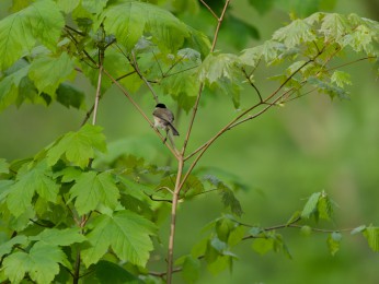 </span><span> | <a href=_4280260_dxo/><span style='font-size: 1.00em;font-weight: normal'><strong> -> INFOS</strong></a> | © </span>