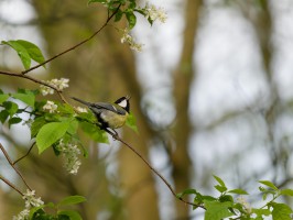 <span style='font-size:1.10em'></span>