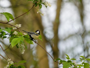 </span><span> | <a href=_4280268_dxo/><span style='font-size: 1.00em;font-weight: normal'><strong> -> INFOS</strong></a> | © </span>