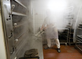 <span style='font-size:1.10em'></span>