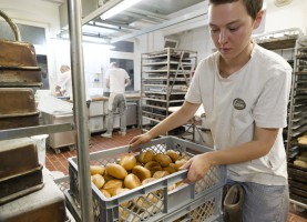 <span style='font-size:1.10em'></span>