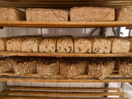 <span style='font-size:1.10em'></span>