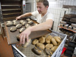 <span style='font-size:1.10em'></span>