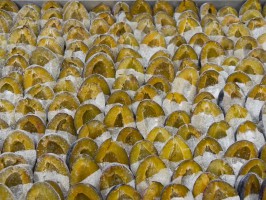 <span style='font-size:1.10em'></span>