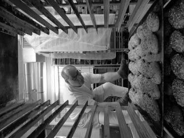 <span style='font-size:0.75em'><strong>Arbeit am Ofen</strong> Der Bäcker schiebt das Bleck mit den noch heißen Mehrkornbrötchen zum Abkühlen in den Bäckereiwagen. ©Ernst Wilhelm Grüter</span>