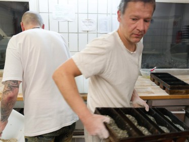 <span style='font-size:0.75em'><strong>Arbeiten mit Schablonen für Brotteig</strong> Die Brotteiglinge sind bereits in einer Kastenform. Der Bäcker ist kurz davor, die Form in einen Bäckereiwagen zu schieben. ©Ernst Wilhelm Grüter</span>