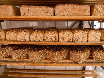 </span><span>Kastenbrote im Ladengeschäft. | <a href=9058/><span style='font-size: 1.00em;font-weight: normal'><strong> -> INFOS</strong></a> | © Ernst Wilhelm Grüter</span>