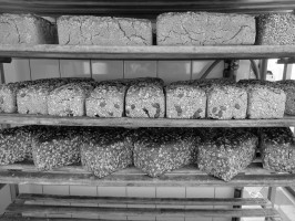 <span style='font-size:1.10em'>Frisch gebackene Brotlaibe im Ladengeschäft.</span>