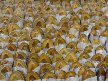 <span style='font-size:0.75em'><strong>Kuchen backen</strong> Zwetschgen in Pektin. Pektin ist ein Geliermittel und behindert als solches die Saftbildung. ©Ernst Wilhelm Grüter</span>