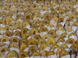 <span style='font-size:1.10em'>Zwetschgen in Pektin. Pektin ist ein Geliermittel und behindert als solches die Saftbildung.</span>