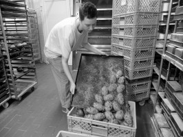 <span style='font-size:1.10em'></span>