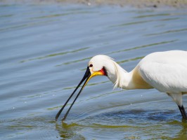 <span style='font-size:1.10em'></span>