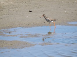 <span style='font-size:1.10em'></span>