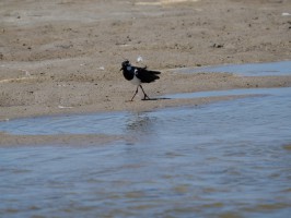 <span style='font-size:1.10em'></span>