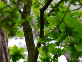 <span style='font-size:1.10em'></span>