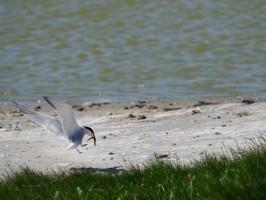 <span style='font-size:1.10em'></span>