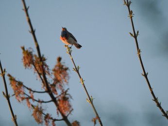 </span><span> <a href=https://ernst-wilhelm-grueter.de/polen-2026/attachment/87994/#main/><span style='color:salmon;font-size: 1.00em;font-weight: normal'>Infos</strong></a> © </span>